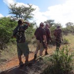 kamera Afrika 246