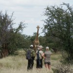 sydafrika 2013 087